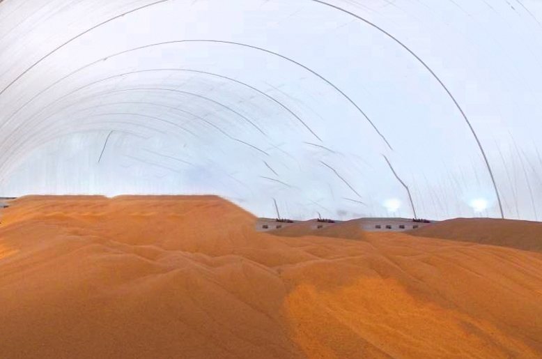 11-17-2.jpg 11-17-2.jpg